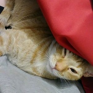 Meet your Posher, Aiyana